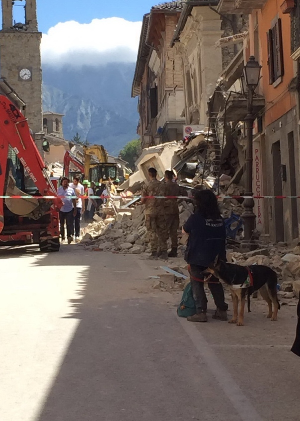 terremoto 2016