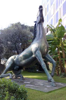Sede Rai