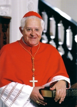 José da Cruz Policarpo