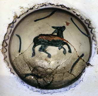 Morimondo bacini cervo