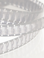 Cineforum