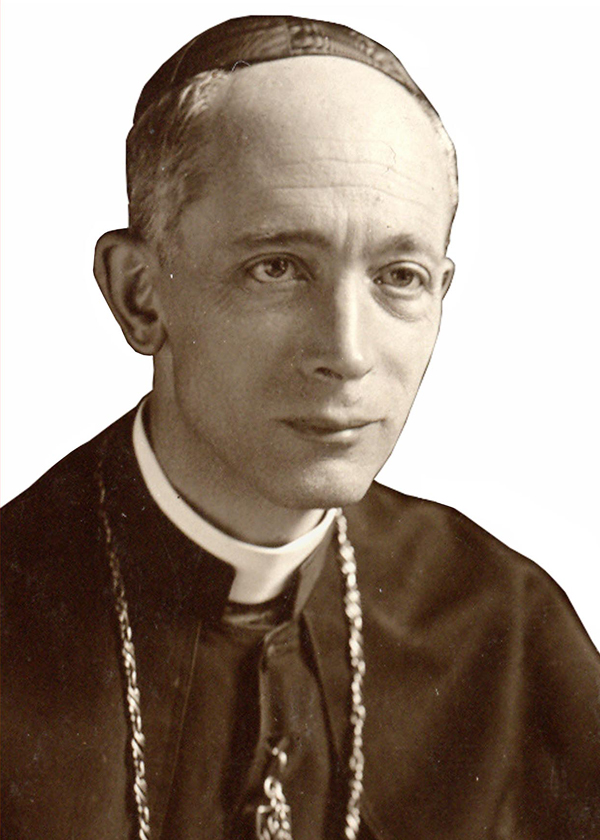 schuster